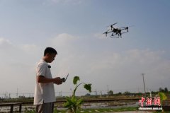 四川“95后”新农人“玩转”科技 带乡邻解锁“轻松”农业